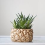 gold pineapple planter