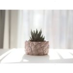 Pink handmade pineapple planter by Modern Plant Life