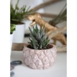 Pink pineapple planter by Modern Plant Life
