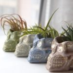 concrete skull planters with gold by Modern Plant Life
