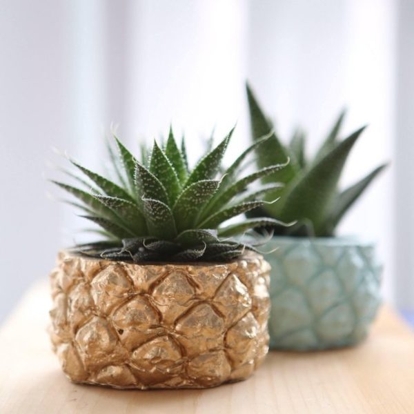 Concrete pineapple planter by Modern Plant Life