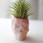 Pink ombre abstract geometric skull concrete air plant holder (small)
