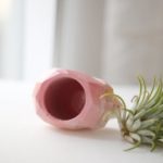 Pink ombre abstract geometric skull concrete air plant holder (small)