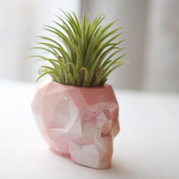 Pink ombre abstract geometric skull concrete air plant holder (small)