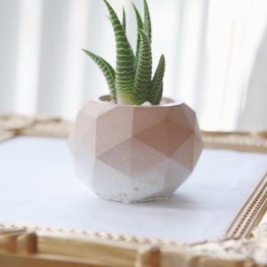 Handmade ombre pink concrete planter by Modern Plant Life in Toronto, Ontario, Canada