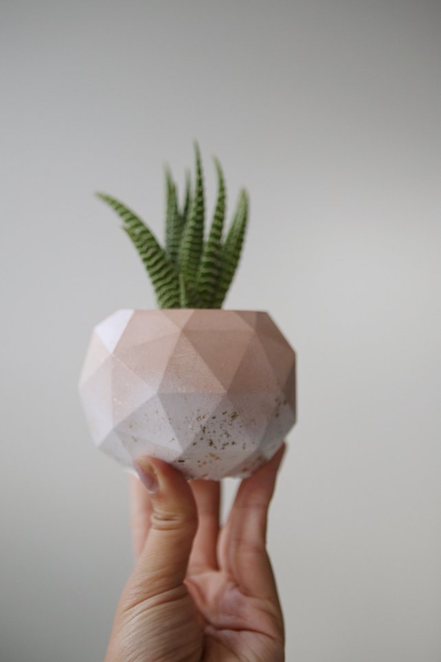 Handmade ombre pink concrete planter by Modern Plant Life in Toronto, Ontario, Canada